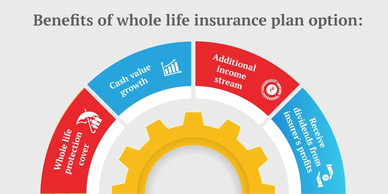 benefit of whole life plan 
