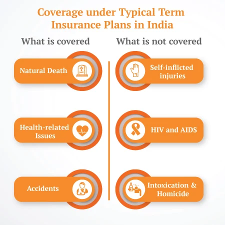 Term Insurance Coverage
