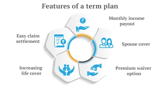 features of a term insurance plans