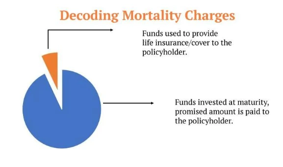 Mortality Charges