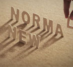Normal Man